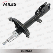 Miles DG21667