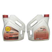 Mozer 4606451