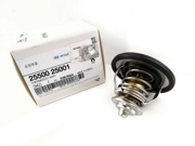 Hyundai-KIA 2550025001