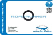 ROADRUNNER RR9031142027