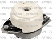 PATRON PSE30691
