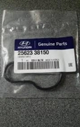 Hyundai-KIA 2562338150