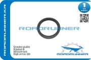 ROADRUNNER RR122795L300