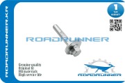 ROADRUNNER RRL2062866Z