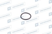 Motorherz H * * * 6