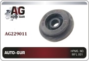 Auto-GUR AG229011