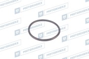Motorherz H * * * A