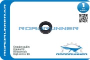ROADRUNNER RR9031118002