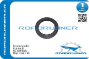 ROADRUNNER RR9031175016