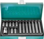 Jonnesway S29H4215S Набор вставок-бит 10 мм DR TORX® с переходниками, 15 предметов