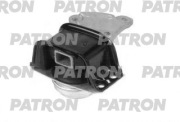 PATRON PSE30298