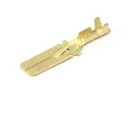 Cargen AX386