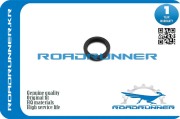 ROADRUNNER RRADU8891