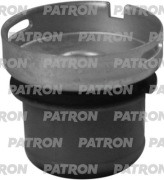 PATRON PSE11787