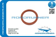 ROADRUNNER RRSE0811399