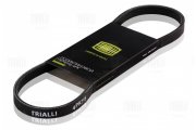 Trialli 4 * * * 0
