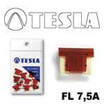 TESLA F * * * A