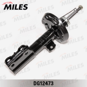 Miles DG12473 Амортизатор