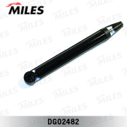 Miles DG02482