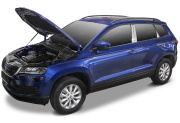 Rival AST51081 Упоры капота Skoda Karoq 2020-, 2 шт.