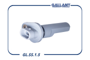 Gallant GLSS15