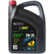 GT OIL 8809059408834