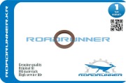 ROADRUNNER RR9004311357