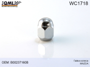QML WC1718