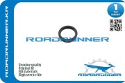 ROADRUNNER RR0928341001