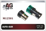 Auto-GUR M12581