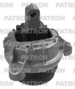 PATRON PSE30761