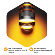ORIGANA ORLEDWY5W Лампа светодиодная &quot;Оранжевая&quot; WY5W 12V/0.36W (Комплект 2шт.)