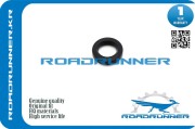 ROADRUNNER RRMN195668