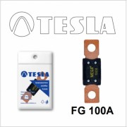 TESLA FG100A FG 100A ПРЕДОХРАНИТЕЛЬ MEGA , ШТ