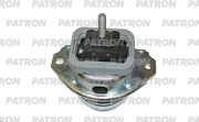 PATRON PSE30268