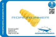 ROADRUNNER RR3C0511359