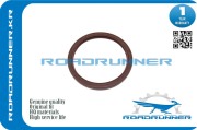 ROADRUNNER RR9031192006