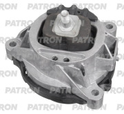 PATRON PSE30763