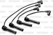 PATRON PSCI2069 