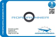 ROADRUNNER RR9004311291