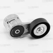 CARBERRY 55CA259