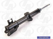 Trust Auto TA21061FR