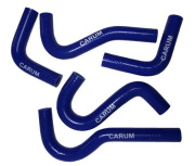 CARUM 42168101200
