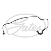 Gates 0 * * * 4