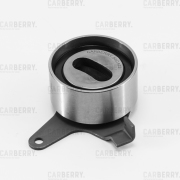 CARBERRY 55CA22