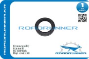 ROADRUNNER RR3311131G00