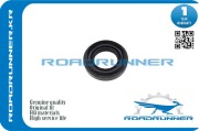 ROADRUNNER RR0928340027