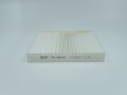 BIG FILTER GB98068
