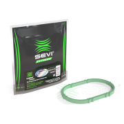 SEVI 5 * * * 2