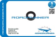 ROADRUNNER RR12342P08004